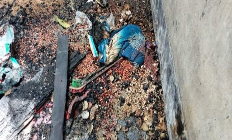 লোহাগড়ায় মহানবীকে কটূক্তির অভিযোগে বাড়িঘর ভাঙচুর-অগ্নিসংযোগ