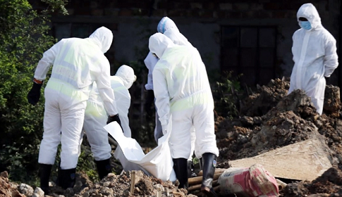 করোনায় চারজনের মৃত্যু, শনাক্ত ৬১৮