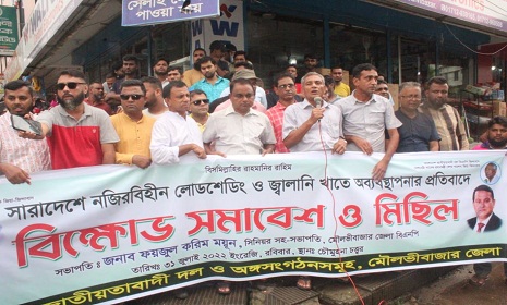 লোডশেডিংয়ের প্রতিবাদে মৌলভীবাজারে বিএনপির পৃথক পৃথক বিক্ষোভ কর্মসূচি