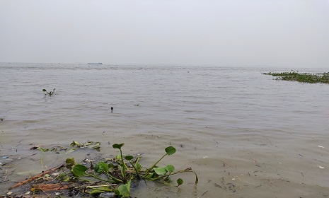 বৃদ্ধি পাচ্ছে যমুনার পানি, নেই বন্যার আশঙ্কা