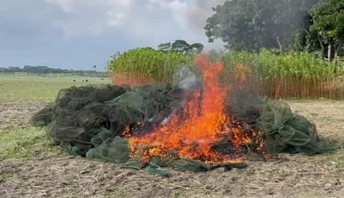 নগরকান্দায় অবৈধ চায়না দুয়ারি জাল ধ্বংস