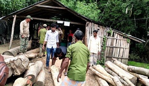 মহেশখালীতে অবৈধ করাতকলের বিরুদ্ধে অভিযান 