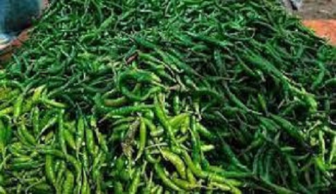 আগৈলঝাড়ায় কাঁচা মরিচের কেজি ৩০০ টাকা