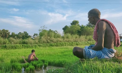 ডিজেল-সারের দাম বৃদ্ধি, কৃষকের মাথায় হাত