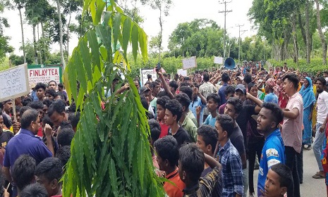 প্রধানমন্ত্রীর সাথে ভিডিও কানফারেন্সই কর্মবিরতি প্রত্যাহারের একমাত্র সমাধান