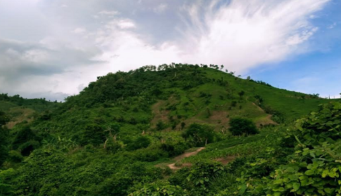 লংগদু উপজেলার দুর্গম সীমান্তবর্তী এলাকায় আঞ্চলিক দুটি গ্রুপের মাঝে বন্দুকযুদ্ধ