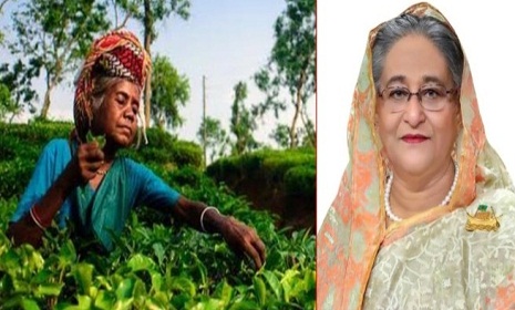 প্রধানমন্ত্রীর সঙ্গে কথা বলতে পেরে কাঁদলেন চা শ্রমিকরা