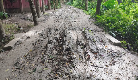 লোহাগড়ায় টিআর প্রকল্পে অনিয়ম-দুর্নীতি! 