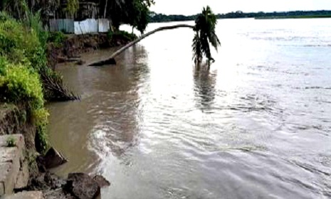মধুমতি নদীর ভাঙনের মুখে মহম্মদপুরের ঝামা বাজার