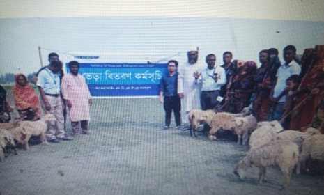 ভেড়া পালনে দিনবদলের স্বপ্ন দেখছেন গাইবান্ধার চরের নারীরা