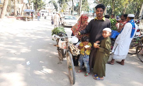 জমি বিক্রি করতে রাজী না হওয়ায় কেটে দেওয়া হয়েছে ৫০টি মেহগণি গাছ!