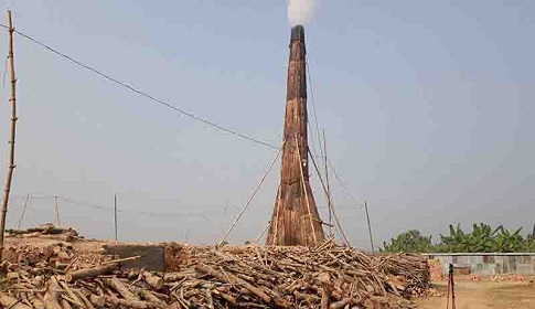 নড়াইলে ৭৭ ভাগ ইটভাটা অনুমোদনহীন, অবাধে পুড়ছে কাঠ