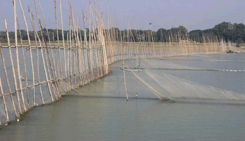 মহম্মদপুরে ভ্রাম্যমাণ আদালতের অভিযানে আড়াআড়ি বাঁধ ধ্বংস ও অবৈধ কারেন্ট জাল উদ্ধার 