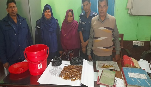 সান্তাহারে এ্যাম্পুলসহ নারী মাদক কারবারি গ্রেপ্তার