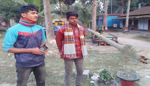 লোহাগড়ায় পল্লী বিদ্যুতের খুঁটি চুরি, অতঃপর চোর আটক