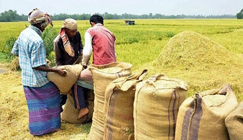 ‘আগে আসলে আগে পাবেন’ ভিত্তিতে ধান কেনার নির্দেশ