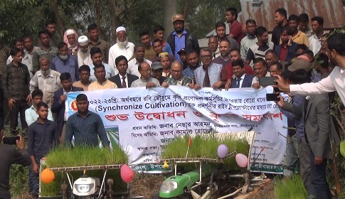 মৌলভীবাজারে সমলয় পদ্ধতিতে চাষাবাদ শুরু
