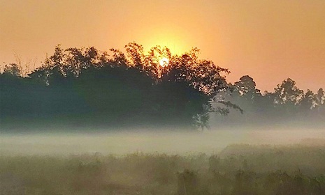 তাপমাত্রা বাড়ছে, শীত আরও কমতে পারে