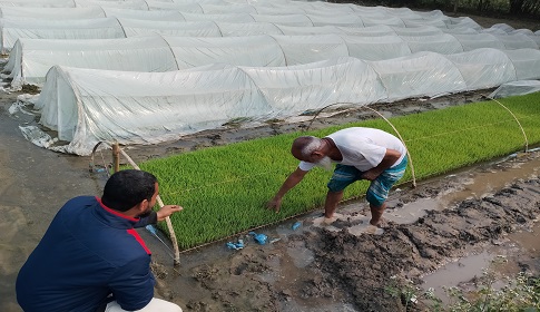 রানীশংকৈলের ধর্মগড়ে ৫০ একর জমিতে সমললয় ধান চাষের প্রস্তুতি