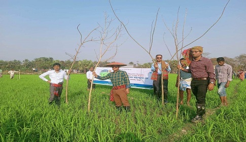 মহম্মদপুরে পার্চিং কার্যক্রমের উদ্বোধন ও আলোচনা সভা