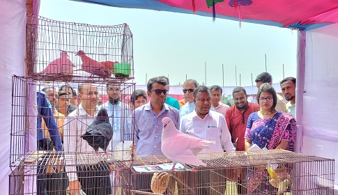 গোপালগঞ্জে প্রাণিসম্পদ প্রদর্শনী