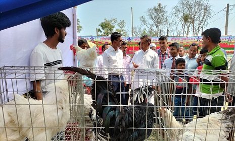 টুঙ্গিপাড়ায় প্রাণি সম্পদ প্রদর্শনী