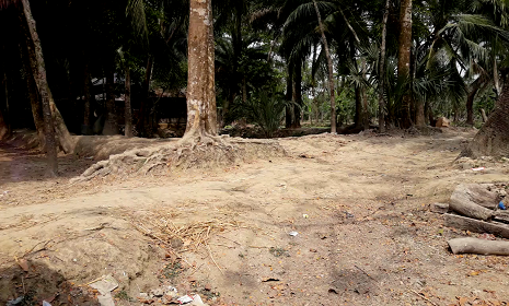 বরগুনায় রাস্তার কাজ না করেও টাকা তুলে নিলেন আ'লীগ নেতা!