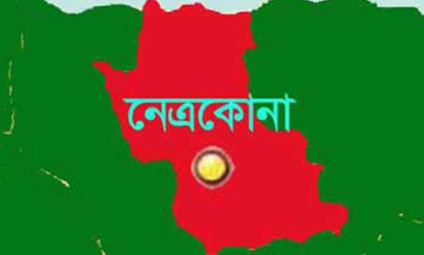 বৃহস্পতিবার থেকে কেন্দুয়ায় তিন দিনব্যাপী বইমেলা শুরু