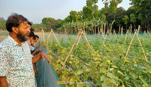 ফসলের সাথে এ কেমন শত্রুতা! 