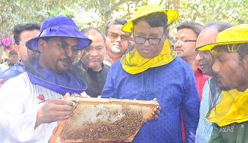 ‘দিনাজপুরে লিচু বাগানে ১২'শ কোটি টাকার মধু আহরণের সম্ভাবনা’