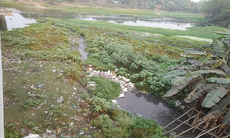 ঝিনাইদহে বেড়েছে মশার উপদ্রব, অতিষ্ঠ পৌরবাসী