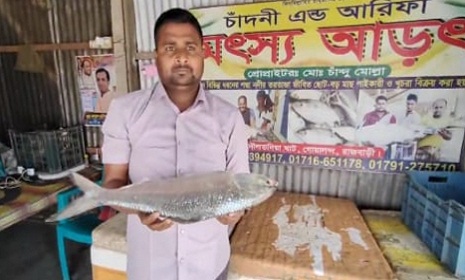 এক ইলিশের দাম ৬ হাজার