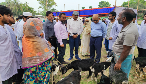 হাবিপ্রবিতে ফ্রি ভেটেরিনারি মেডিকেল ক্যাম্প