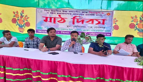 গোপালগঞ্জে বিনামুগ-৮ এ জৈব ছত্রাক নাশক প্রয়োগে মাঠ দিবস