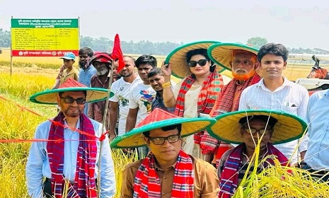 মহম্মদপুরে ধান কাটা ও মাঠ দিবস অনুষ্ঠিত