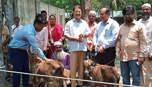 কলাপাড়ায় ১০০ জন দরিদ্র জেলে পেলেন বকনা বাছুর