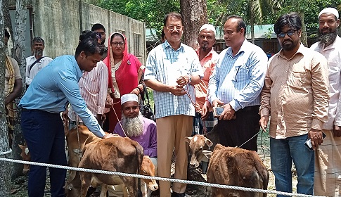 কলাপাড়ায় ১০০ জন দরিদ্র জেলে পেলেন বকনা বাছুর 