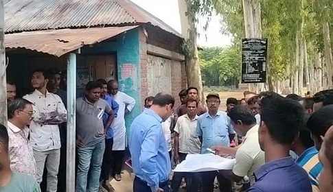 পলাশবাড়ীতে ইউপি চেয়ারম্যান কর্তৃক রাস্তার গাছ কর্তনের অভিযোগের তদন্ত