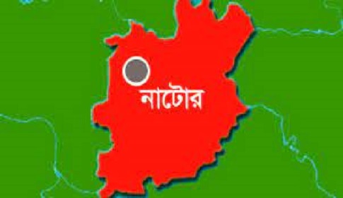 বড়াইগ্রামে মাছ চুরি করতে গিয়ে নিহত ১