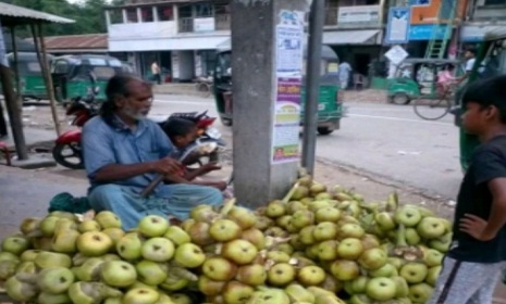 লোহাগড়ায় কদর বেড়েছে তাল শাঁসের