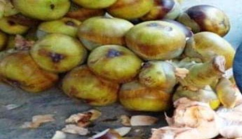 মাগুরায় তালশাঁস’র চাহিদা বেড়েছে