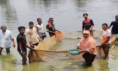 দিনাজপুরে মাছের পোনা চাষ করে স্বাবলম্বী সাদেকা বানু