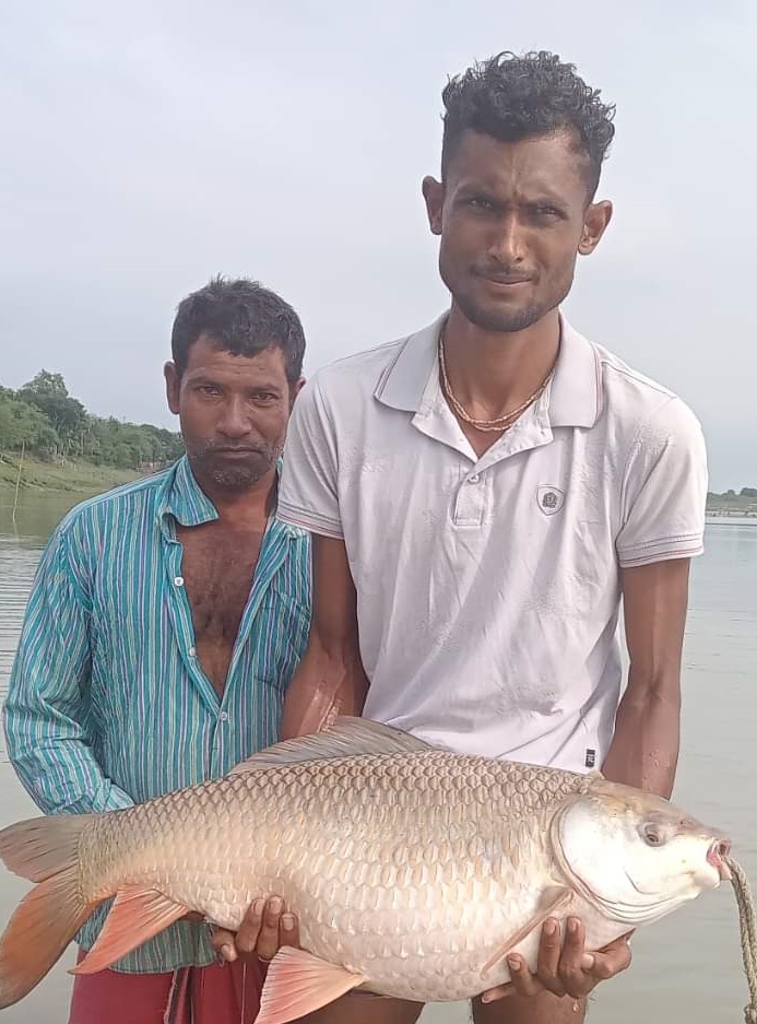 গড়াই নদীতে জেলের জালে ধরা পড়লো ১৪ কেজির রুই