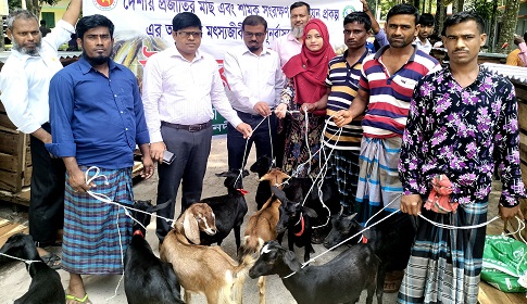 গৌরনদীতে জেলেদের মাঝে ছাগল বিতরণ