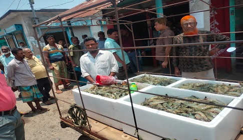 কালিগঞ্জে ৯০ কেজি বাগদা চিংড়ি জব্দ, ব্যবসায়ীর কারাদণ্ড