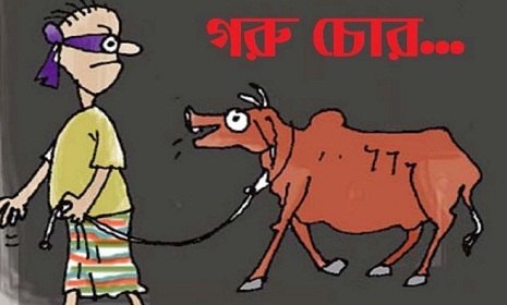 কর্ণফুলীতে পিকআপে করে গরু চুরি, আটক ১