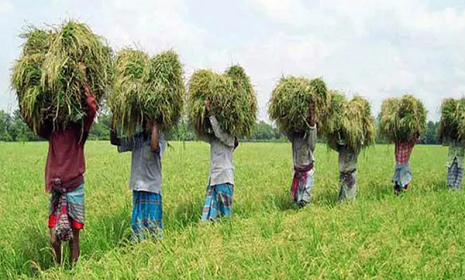 দেশে স্মার্ট কার্ডধারী কৃষকের সংখ্যা ২ কোটি