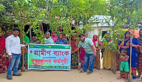 মাগুরায় গ্রামীণ ব্যাংকের বৃক্ষরোপণ কর্মসূচী