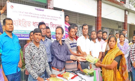 মহম্মদপুরে কৃষকদের মাঝে উন্নত জাতের হাইব্রিড ধান বীজ বিতরণ