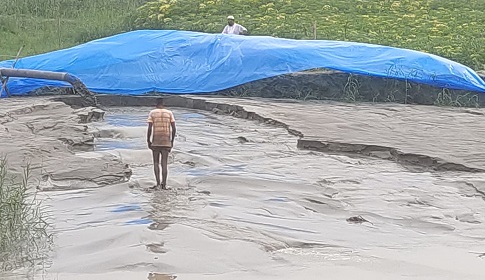 শ্রীনগরে ইউপি চেয়ারম্যানের ছত্রছায়ায় চলছে ড্রেজার বাণিজ্য